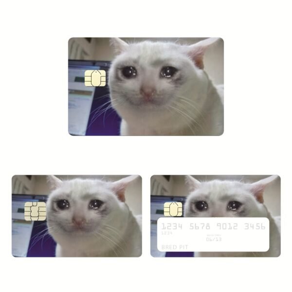 跨境新款悲伤猫信用卡个性化防水贴纸2x3.4英寸单张/套装可选